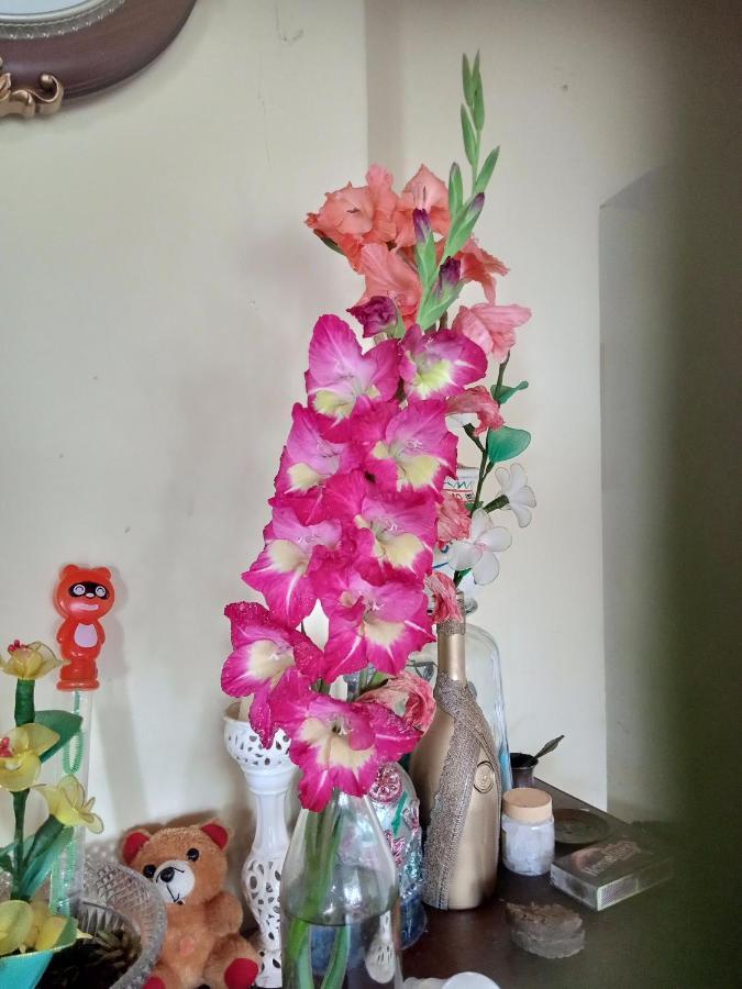 Zeus Bungalow Kotagiri Luaran gambar